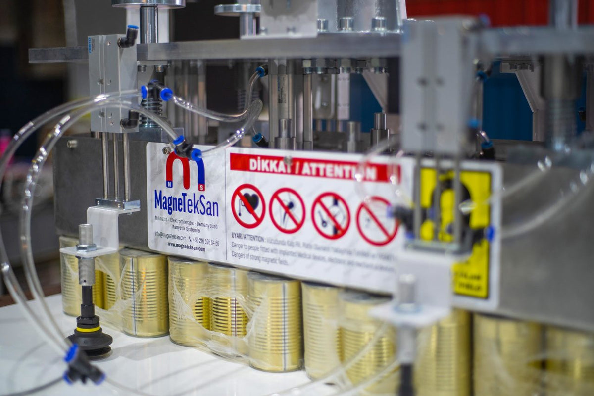 1000x300 mm Box Palletizing Magnet - Pneumatic (Piston-Driven)
