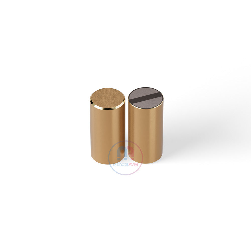 Ø10x20 mm Flat Brass Pot Magnet