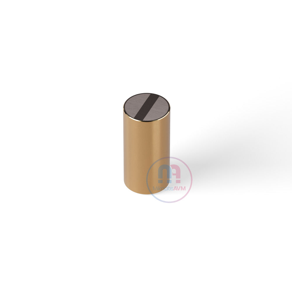 Ø10x20 mm Flat Brass Pot Magnet