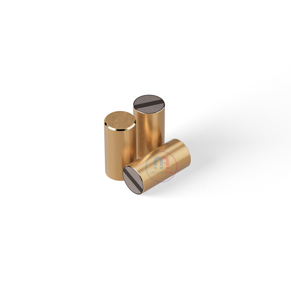 Ø10x20 mm Flat Brass Pot Magnet