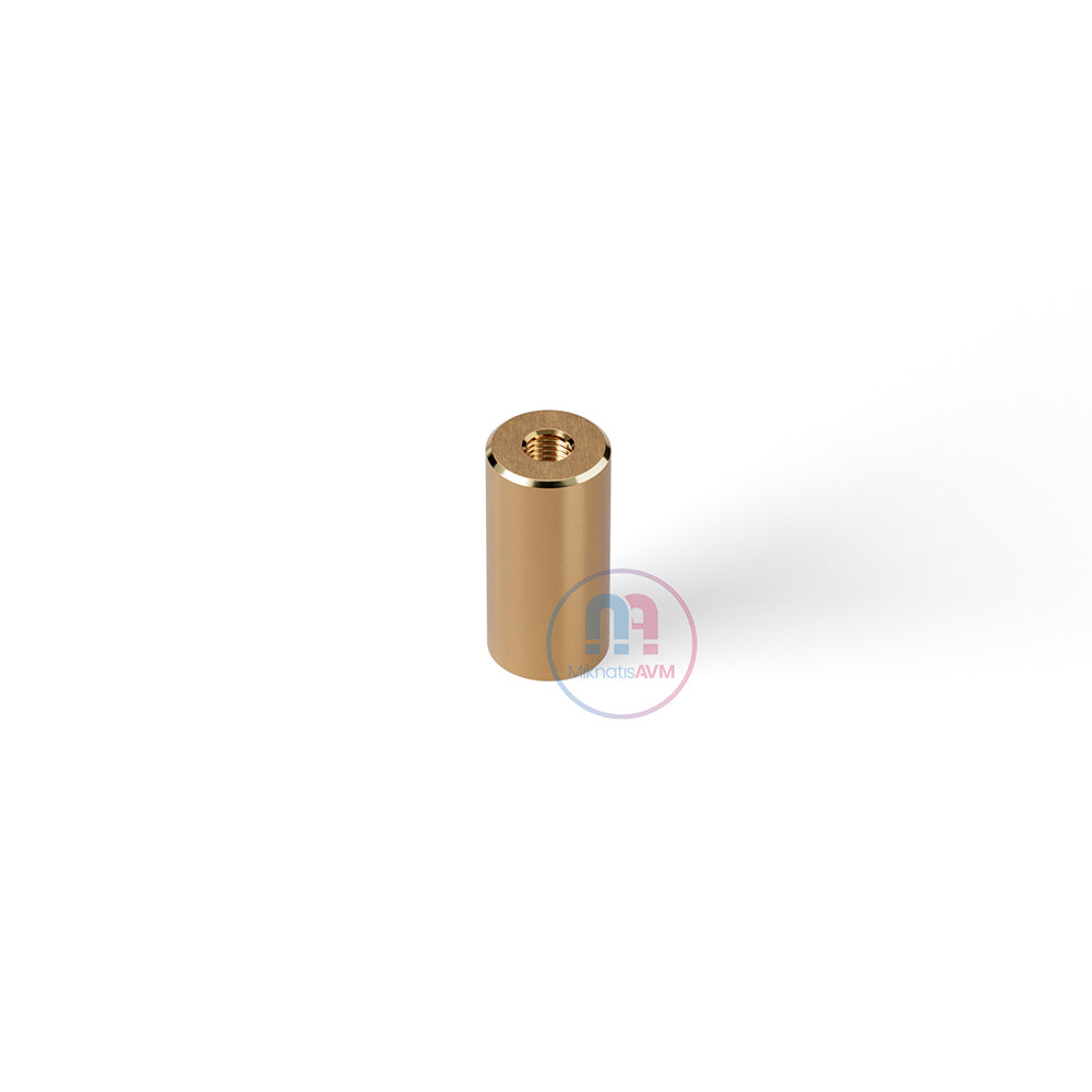 Ø10x20 mm M5x5 mm Brass Pot Magnet