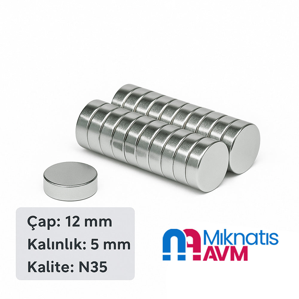 Ø12x5 mm Neodymium Magnet