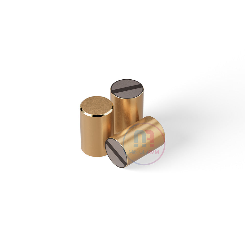 Ø13x20 mm Flat Brass Pot Magnet