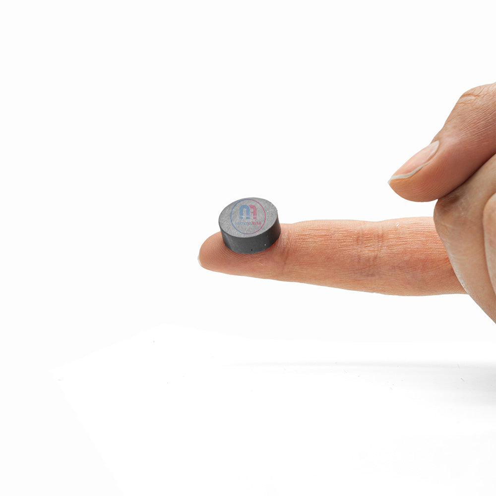 Ø16x6 mm Ferrite Magnet