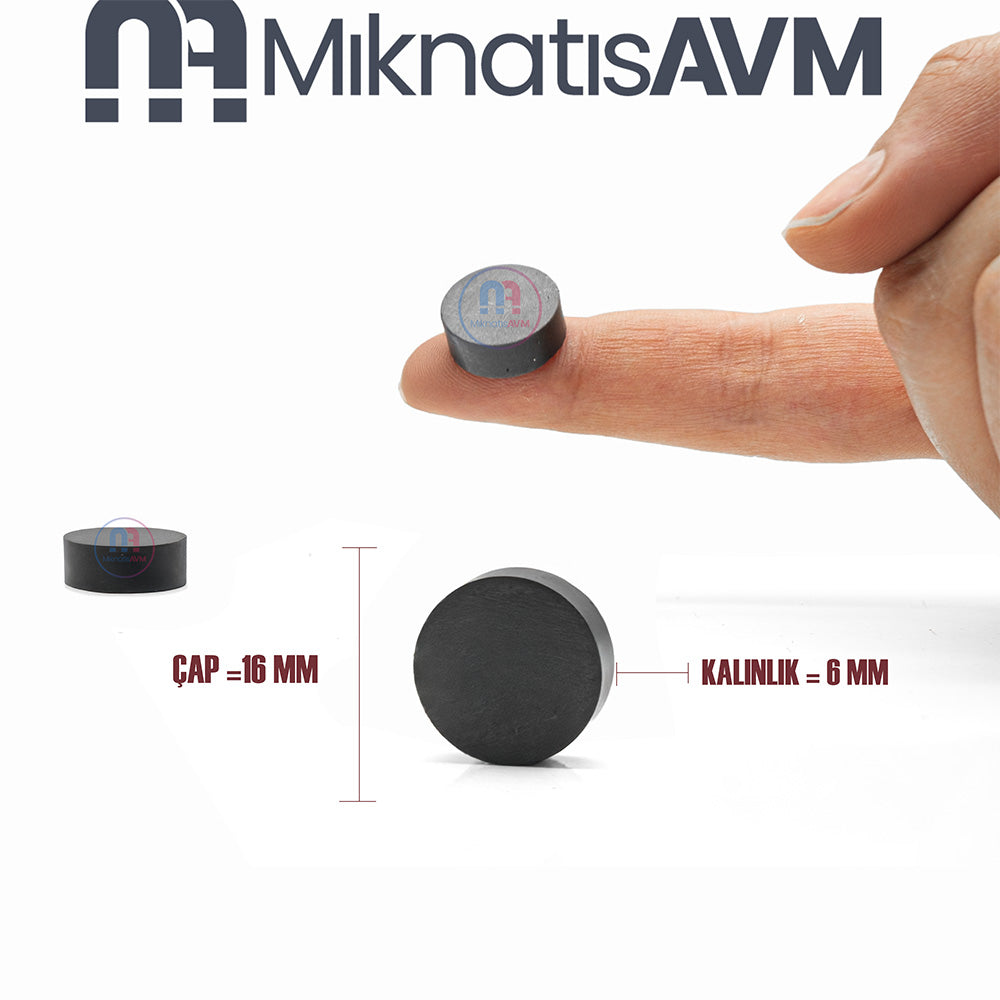 Ø16x6 mm Ferrite Magnet