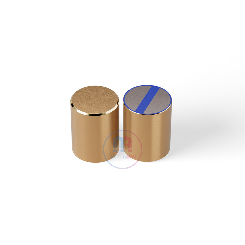 Ø20x25 mm Brass Pot Magnet