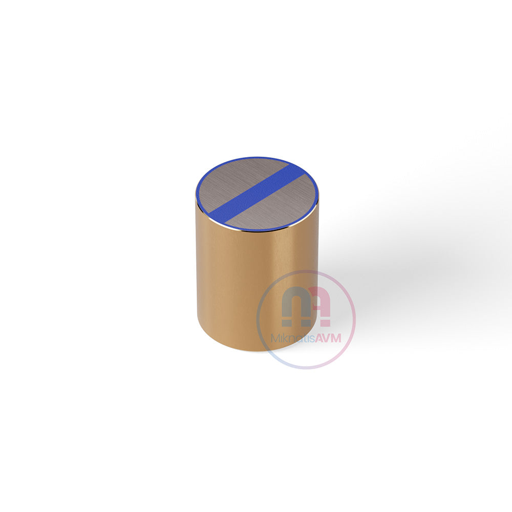 Ø20x25 mm Brass Pot Magnet