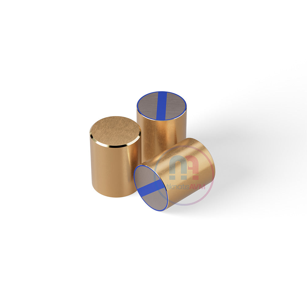 Ø20x25 mm Brass Pot Magnet