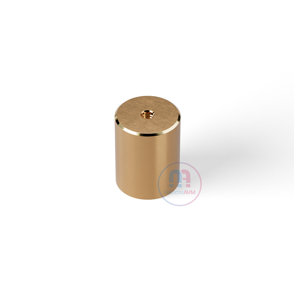 Ø20x25 mm M6x5 mm Brass Pot Magnet