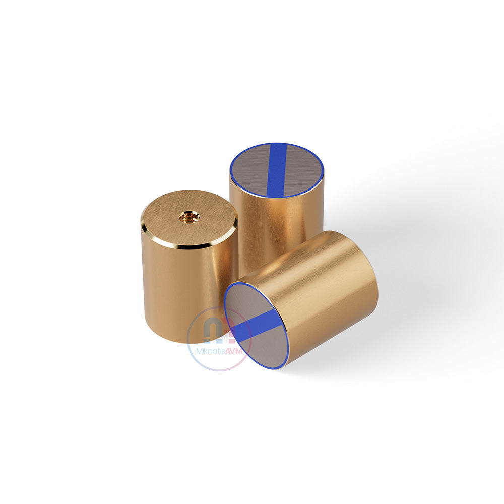 Ø20x25 mm M6x5 mm Brass Pot Magnet