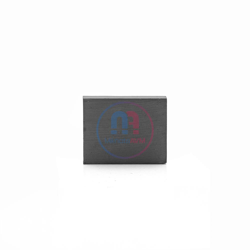 25x20x5 mm Square Ferrite Magnet