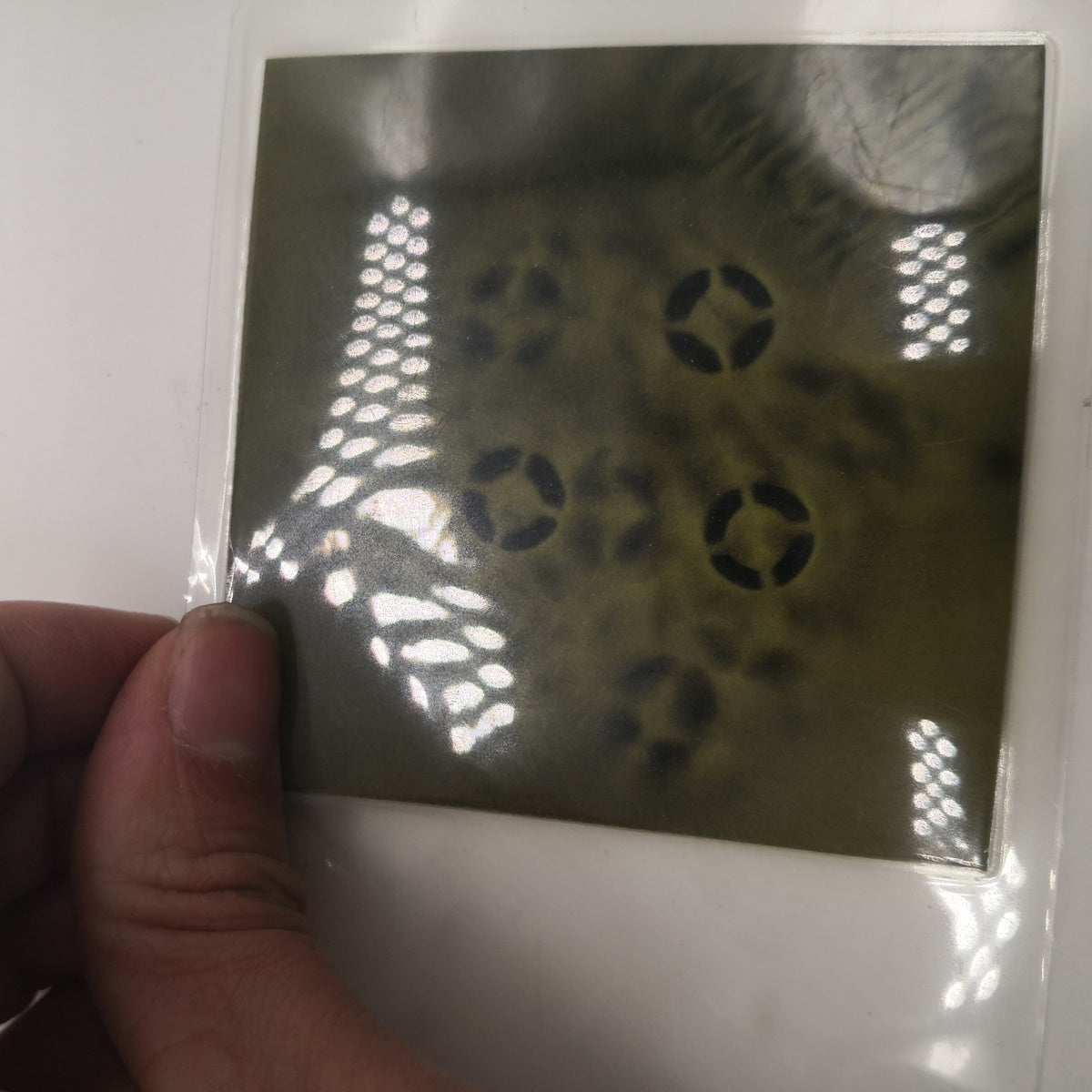 50x50 mm Magnetic Film - Magnet X-ray - Magnetic Field Imaging