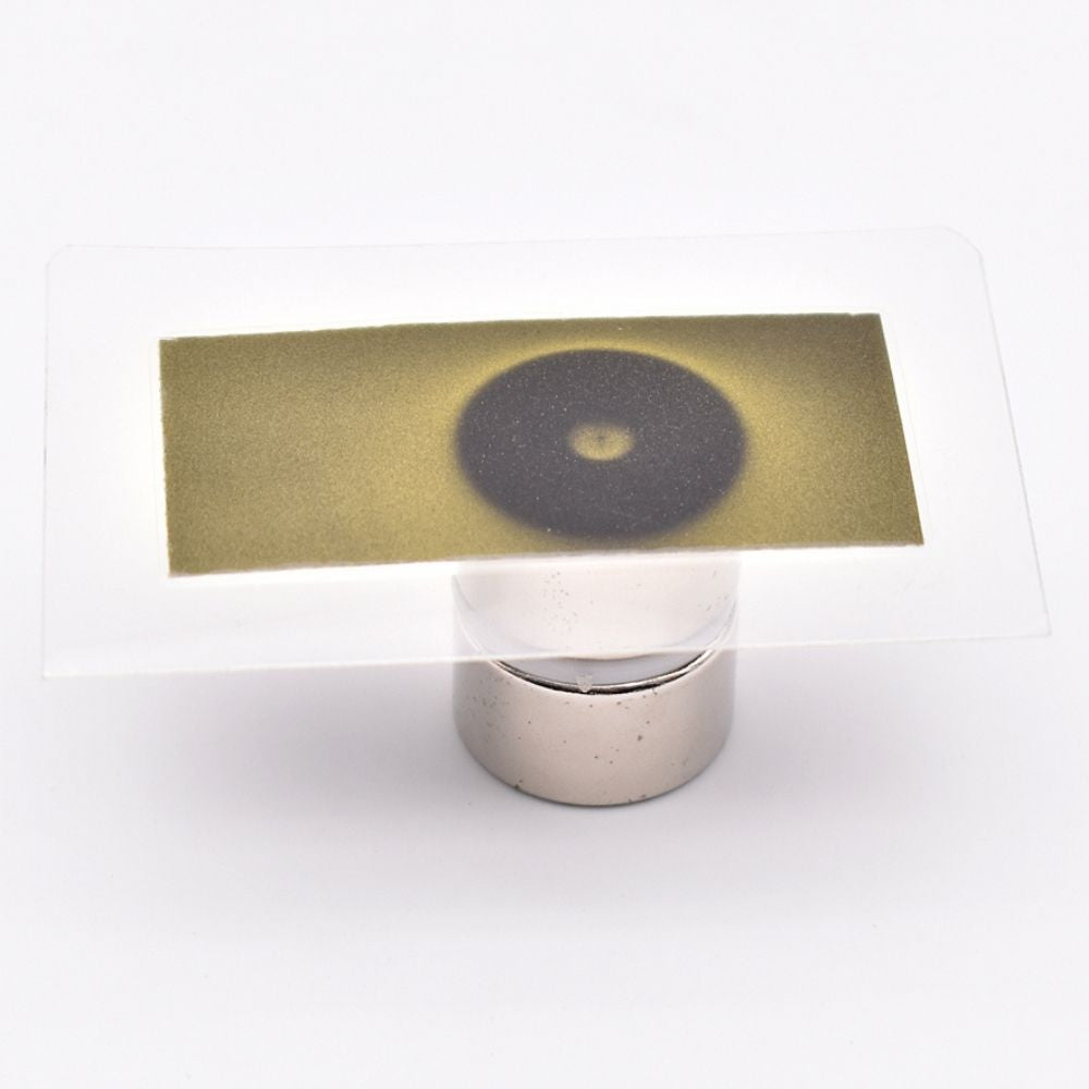 50x50 mm Magnetic Film - Magnet X-ray - Magnetic Field Imaging