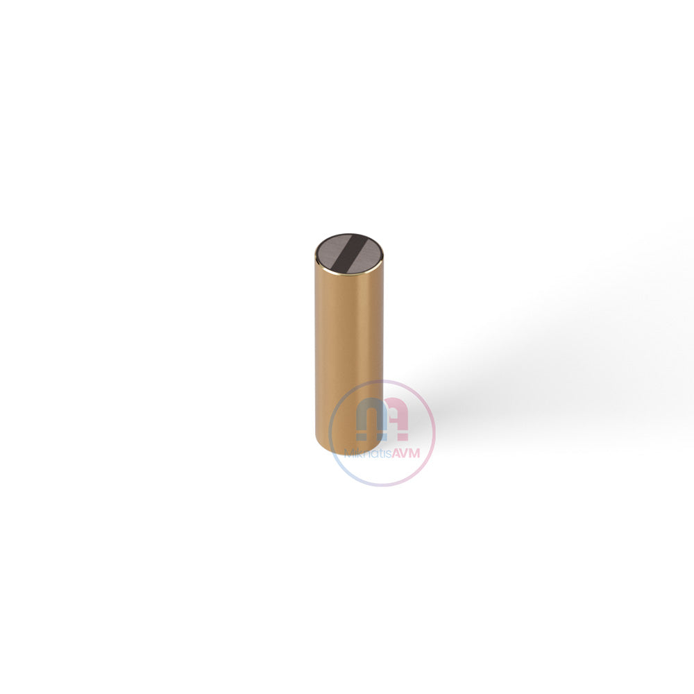 Ø6x20 mm M4x5 Brass Pot Magnet