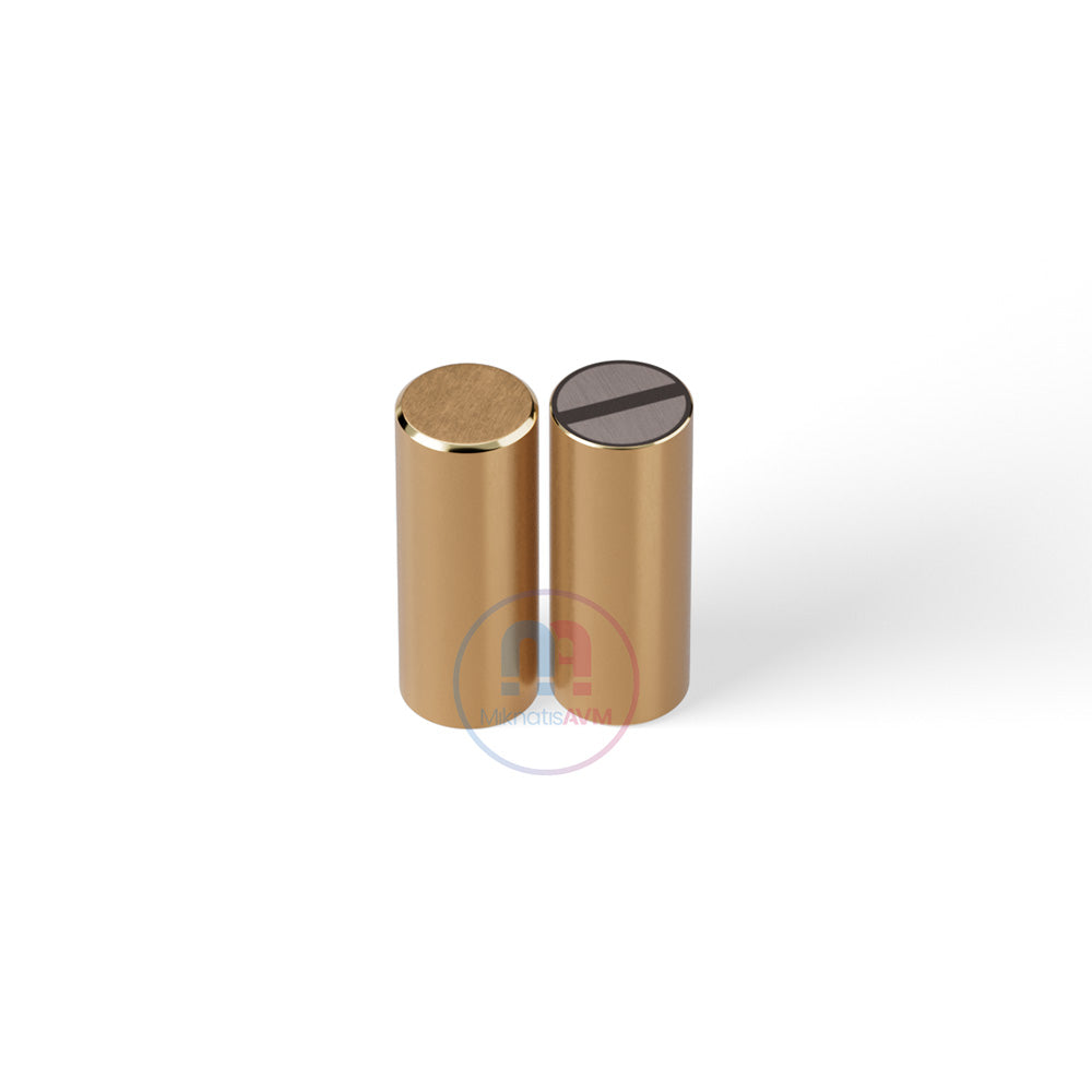 Ø8x20 mm Flat Brass Pot Magnet