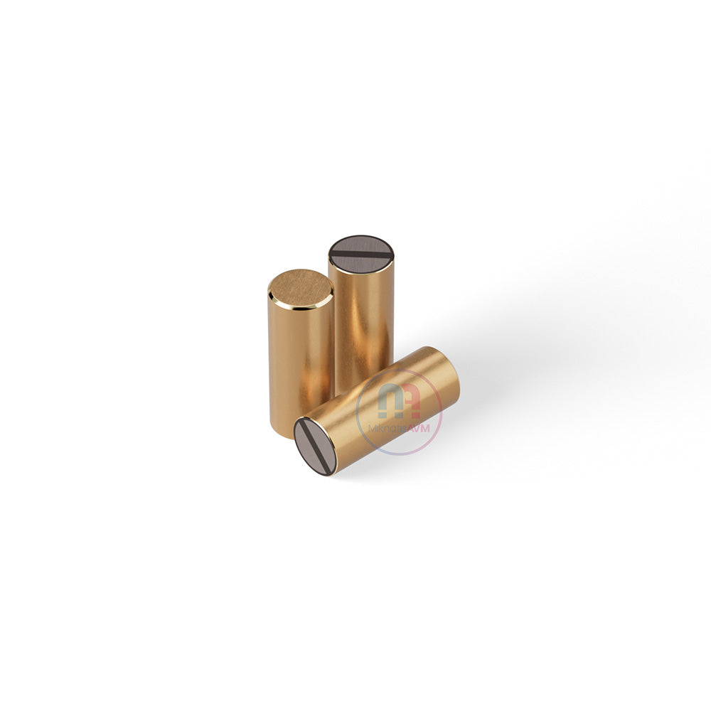 Ø8x20 mm Flat Brass Pot Magnet