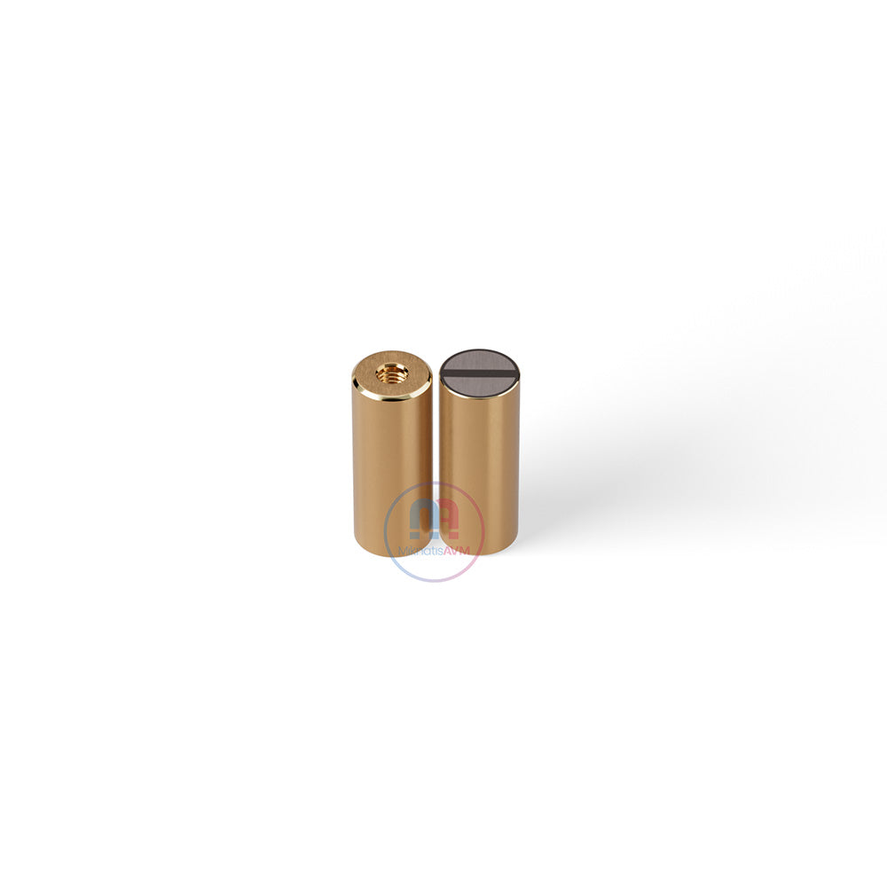 Ø8x20 mm M4x5 mm Female Brass Pot Magnet