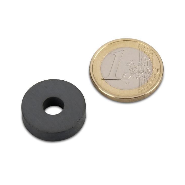 Ø20x6x5 mm Ferrite - Ring Magnet