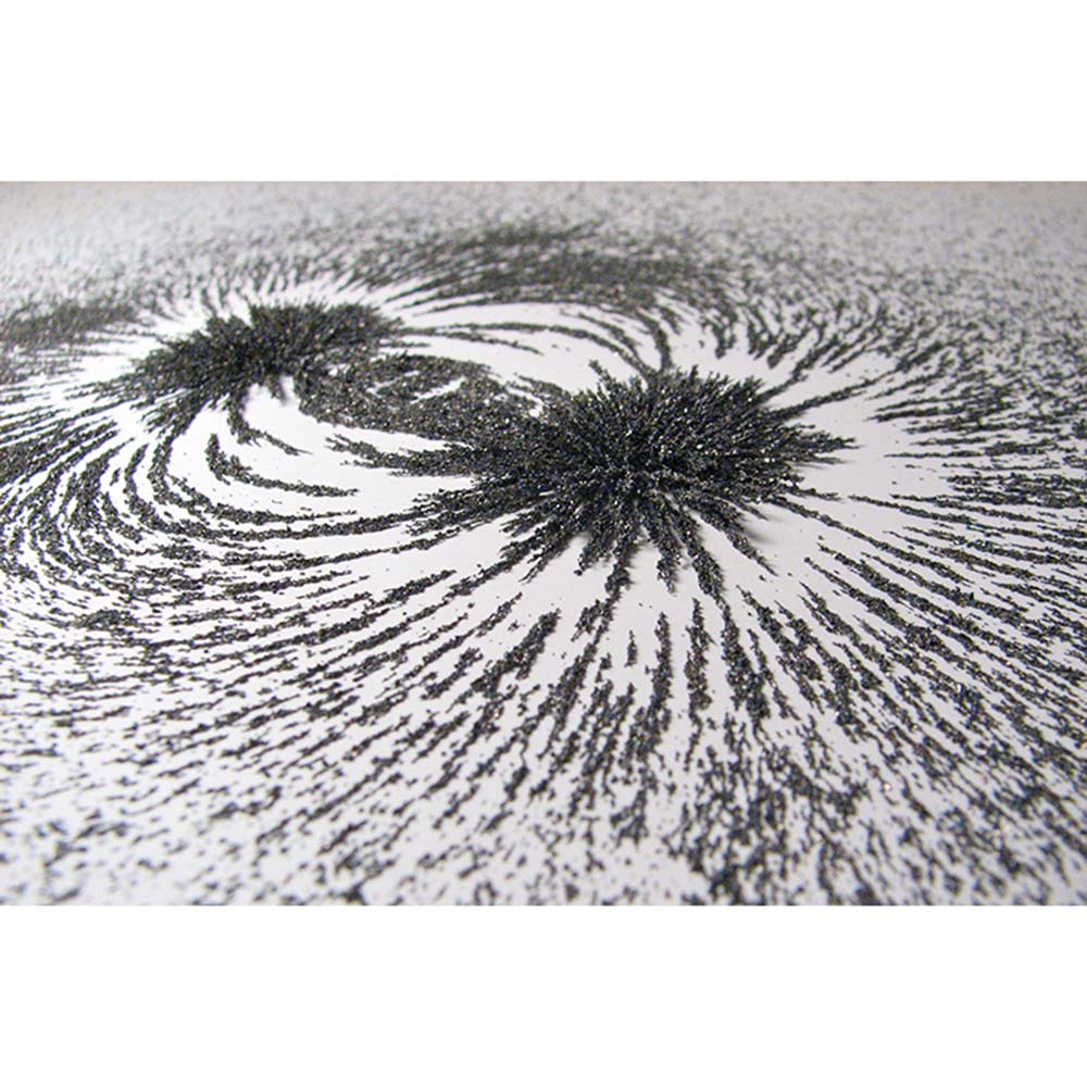 Magnetic Iron Powder - 100 Grams