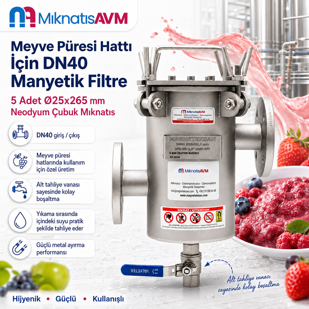 DN40 Inlet and Outlet Neodymium Magnetic Filter with 5 Rods for Fruit Purée Lines