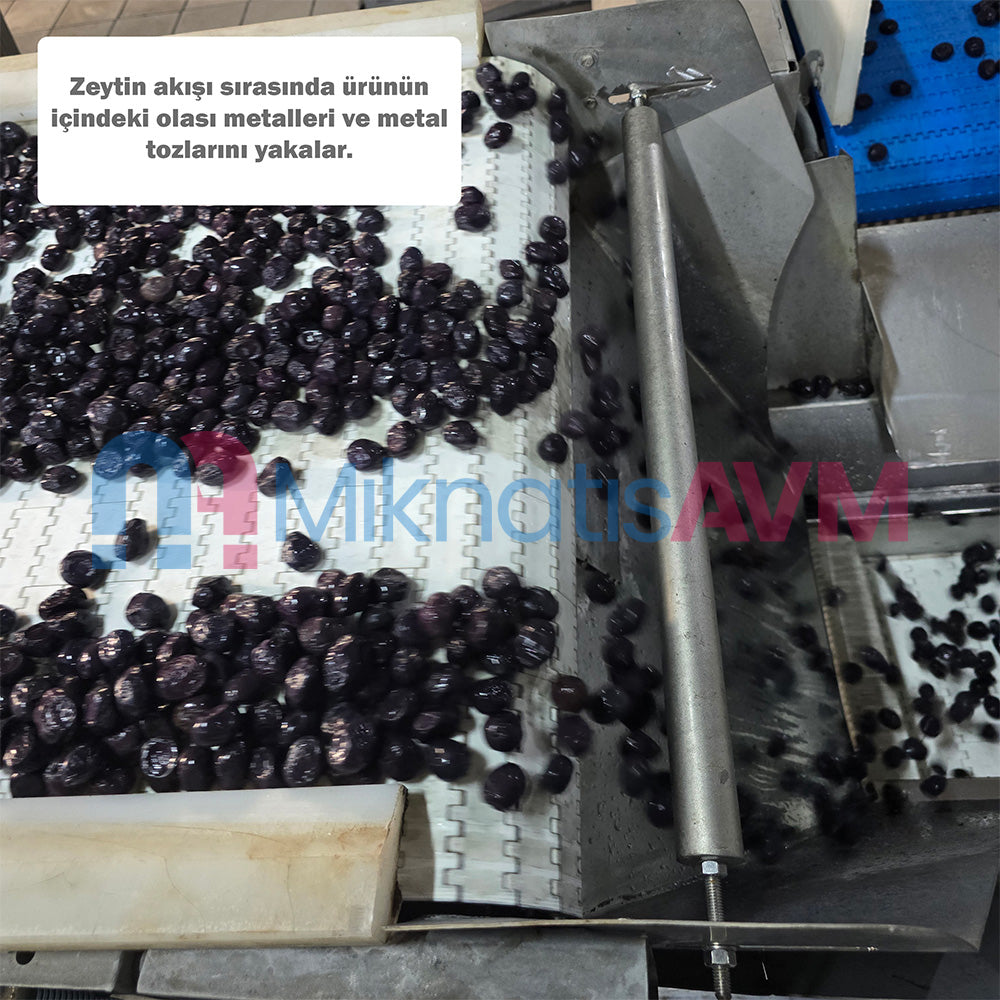 Rod Magnet for Olive Processing Facilities